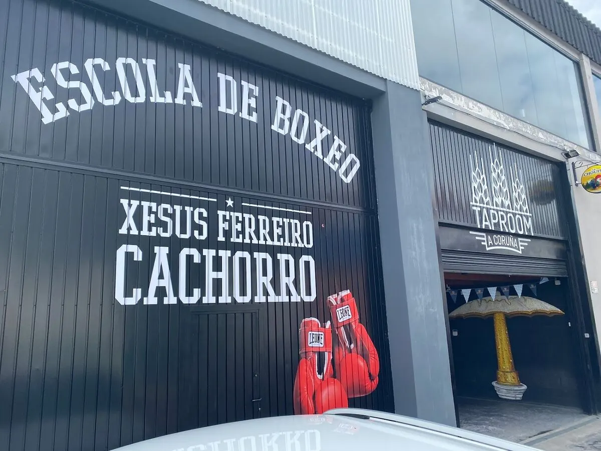Escola Boxeo Xesus Ferreiro Cachorro - Cambre