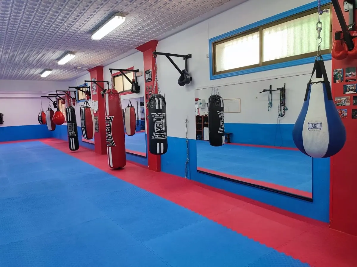 MT BOXING Santurtzi - Santurtzi