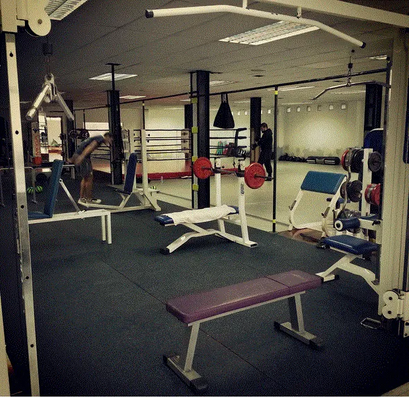 Team Pozuelo - Gimnasio de Artes Marciales - Escuela de artes marciales en Alcobendas