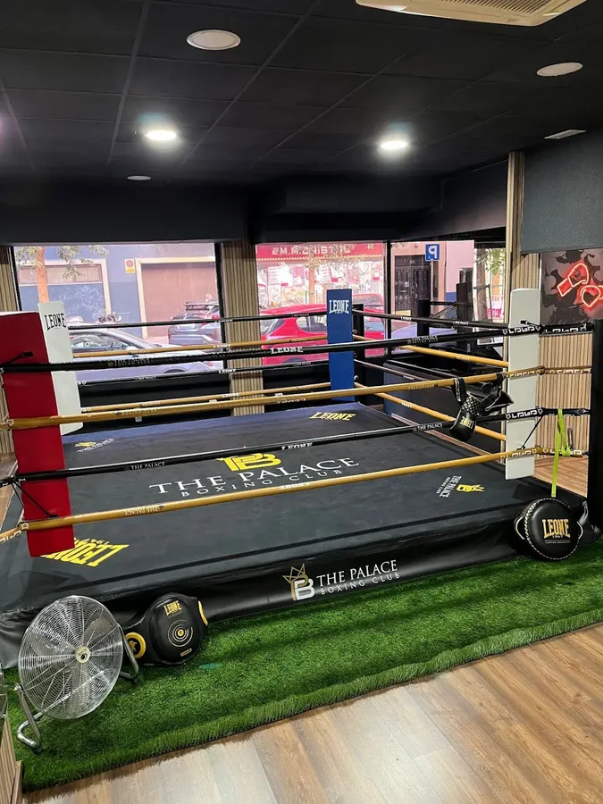 The Palace Boxing club - Madrid