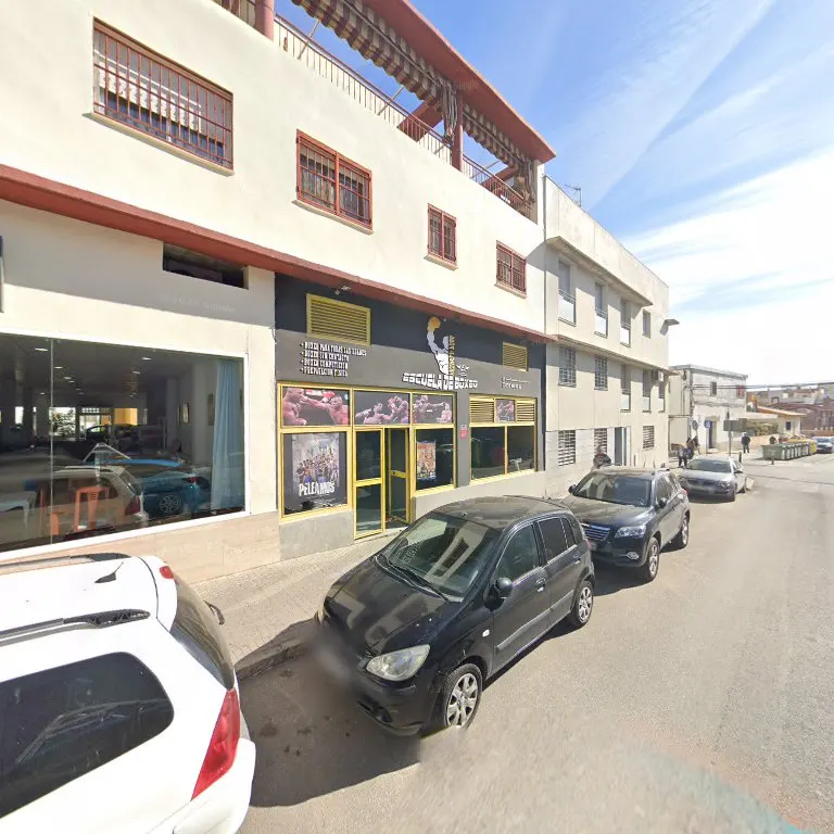 Escuela De Boxeo Seda Alvarez