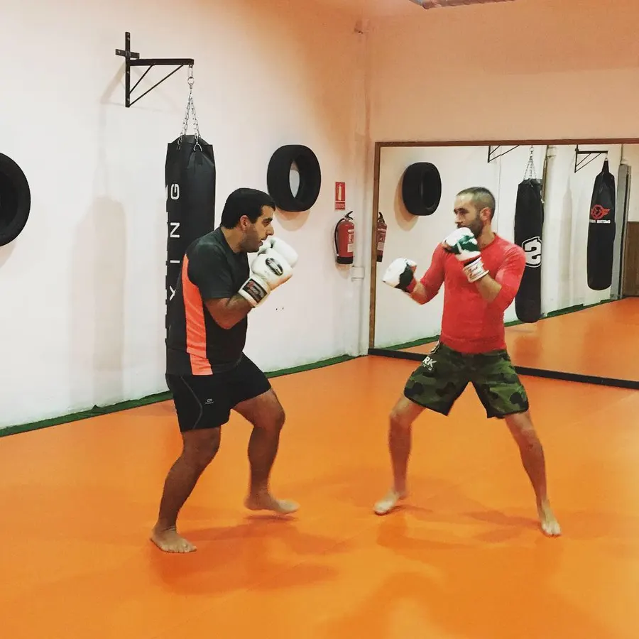 LION FIGHTERS MMA - Artes Marciales Mixtas, Boxeo, Kick boxing, Grappling, Defensa personal.
