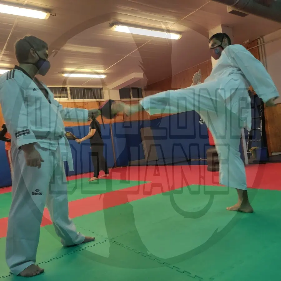Danjeong Dojang. Escuela de Taekwondo, Hapkido, Defensa Personal Femenina, Boxeo y Pole Dance - Madrid