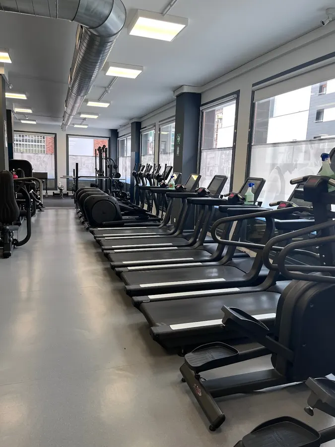 Dynamis Gym - Urretxu