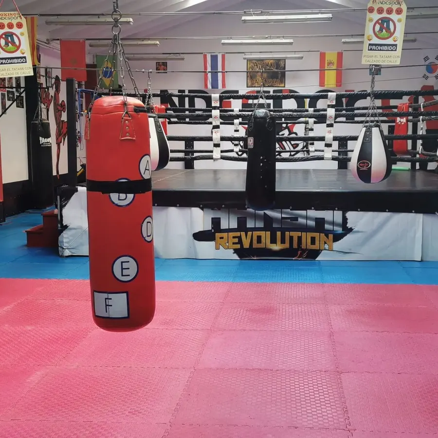 Indesport Boxing Club - Zaragoza