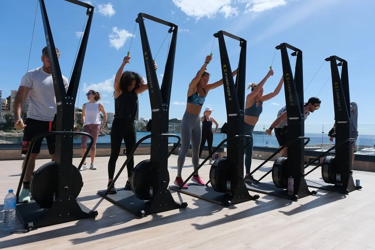 The Fit Family Tree - Palma