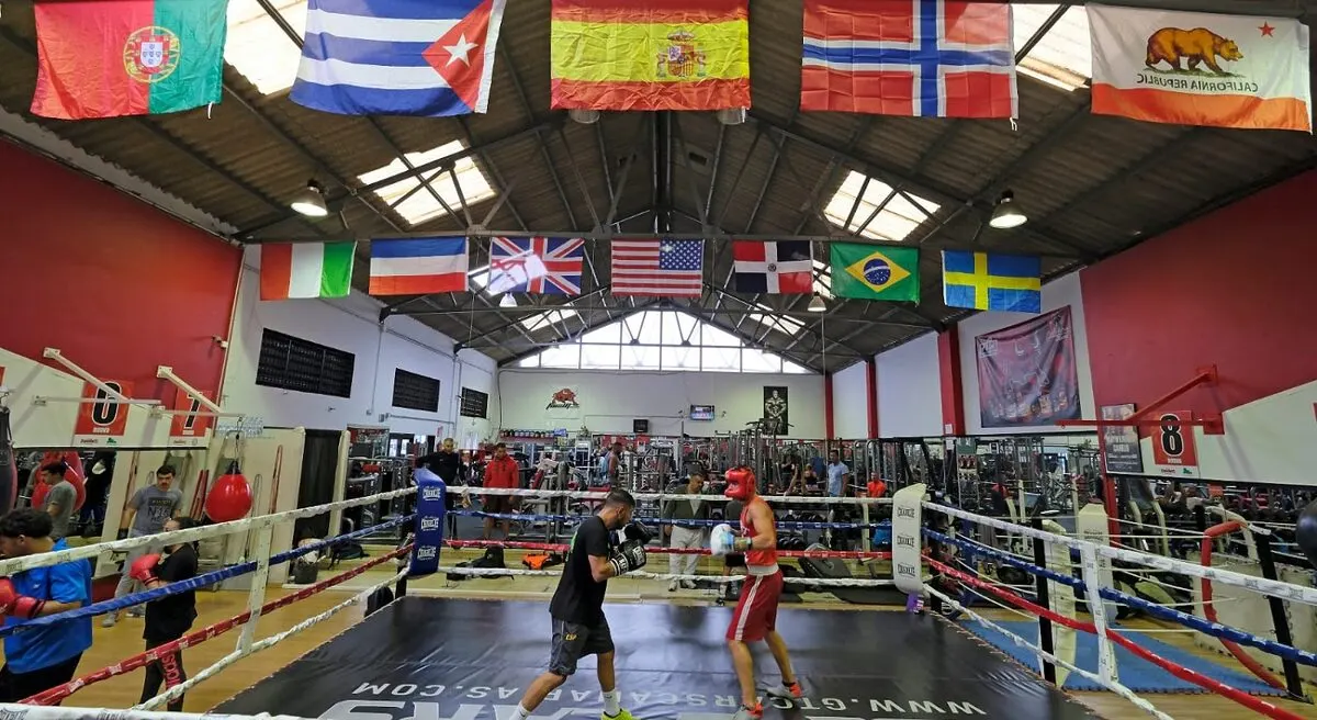 Gym Puerto Las Palmas