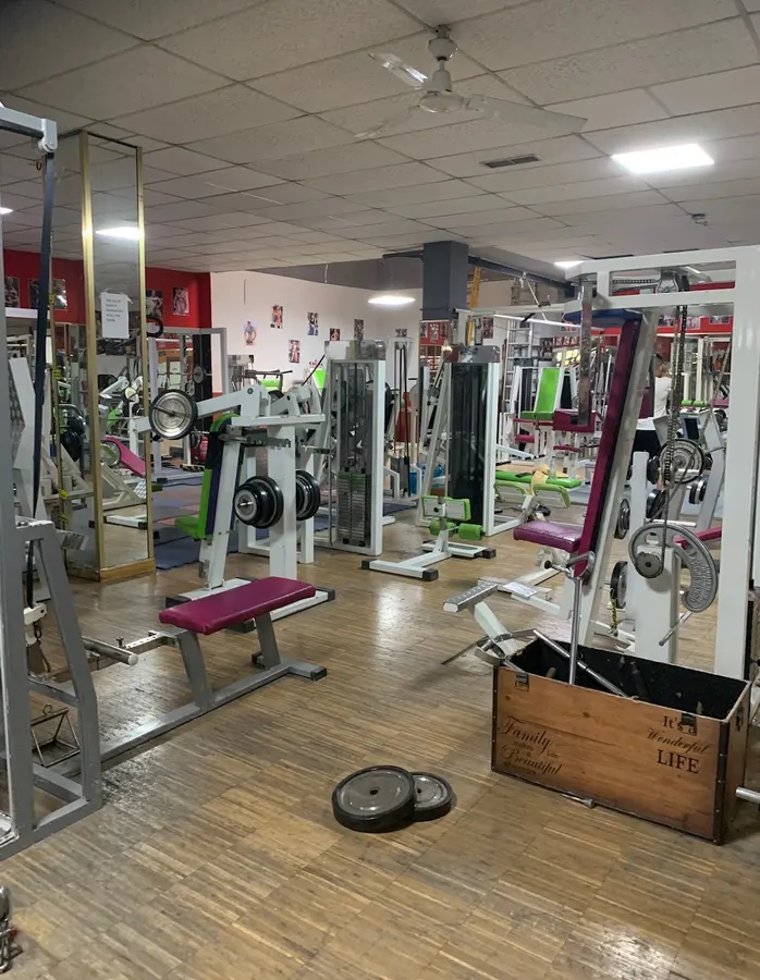 Bull Sport