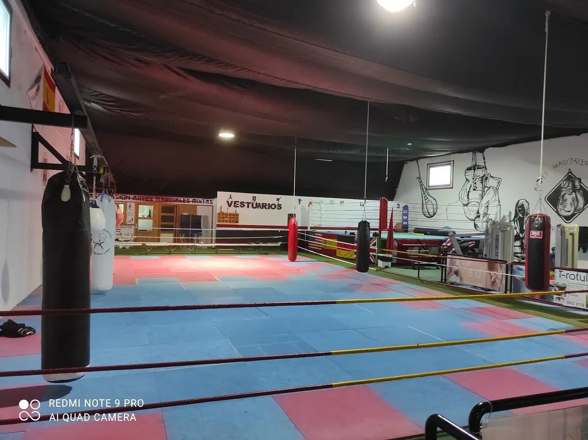 Paco artes marciales - San Pedro del Pinatar