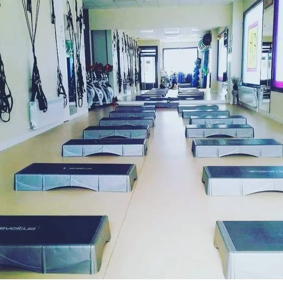 Fitness31sanguesa