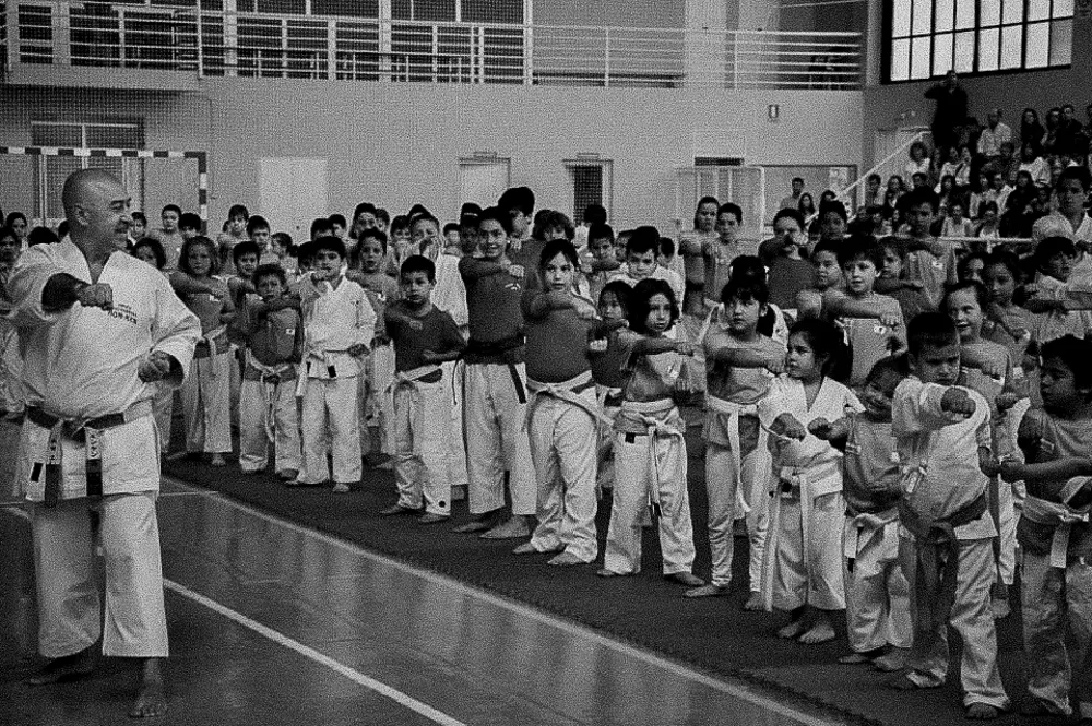 Hon Ken Artes Marciales - Sevilla