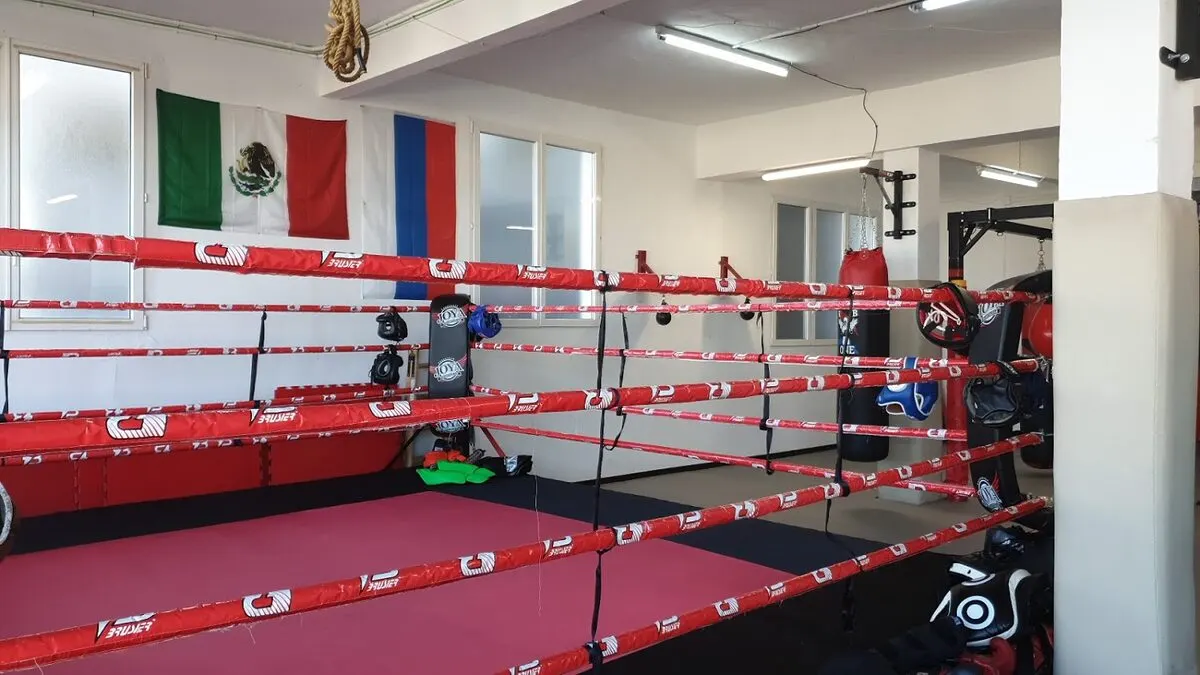 Gimnasio k b one